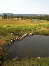 Huckleberry Hot Springs